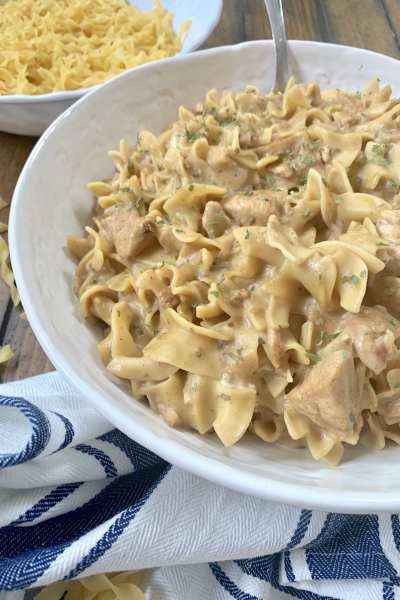 Pound Dropper Recipes, Best Chicken Recipes For Dinner, Pound Dropper, Chicken Recipes For Dinner, Yummy Pasta, Chicken Stroganoff, Ww Freestyle, Family Friendly Dinners, Yummy Pasta Recipes