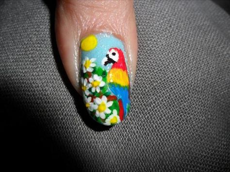 , Parrot Nails, Elephant Nail Art, Elephant Nails, Cute Nail Art, Color Street Nails, Nails Designs, Color Street, Cute Nails, Parrot