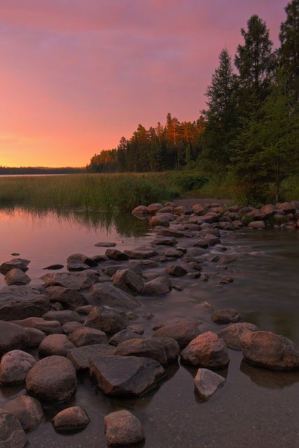 Mississippi Headwaters at sunrise in Itasca State Park near Park Rapids, Minnesota. Park Rapids Minnesota, Bemidji Minnesota, Itasca State Park, Minnesota Camping, Minnesota Travel, Northern Minnesota, Minnesota State, Belly Dancing, Mississippi River