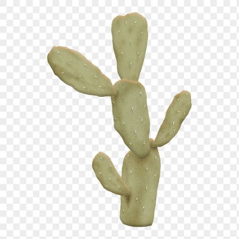 Simple Illustration Design, Cactus Png, Plant Cactus, Collage Scrapbook, Png Aesthetic, Desert Cactus, Cactus Plant, Desert Plants, Simple Illustration