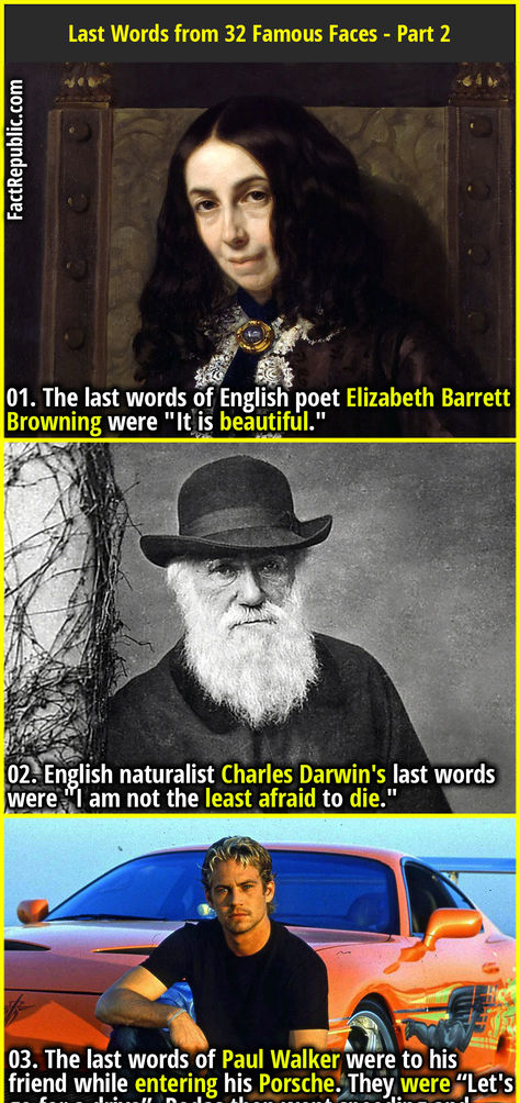 01. The last words of English poet Elizabeth Barrett Browning were "It is beautiful." English History Facts, Cool Life Hacks, Half Up Half Down Wedding Hair, Elizabeth Barrett Browning, Fact Republic, Curious Facts, Half Up Half Down Wedding, True Interesting Facts, American Quotes