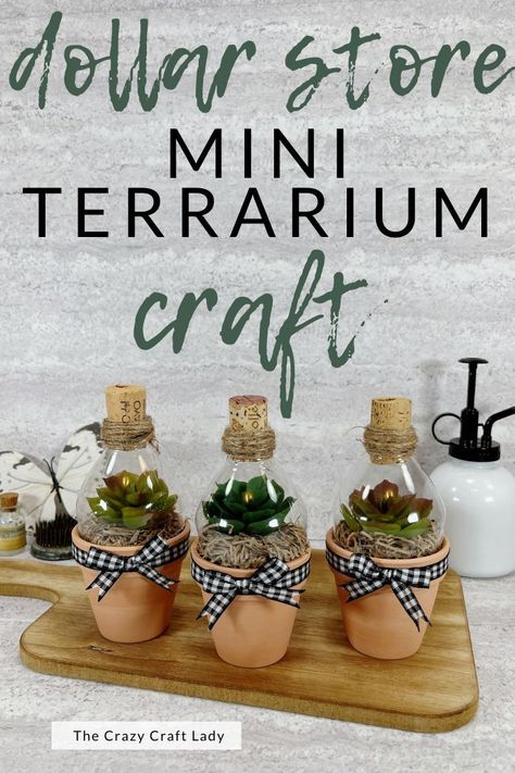 This Mini Terrarium Craft uses Dollar Store supplies making it an easy, fun, and inexpensive project to try. They are the perfect style for any home decor style. Mini Clay Pots Crafts, Mini Terra Cotta Pot Crafts, Terrarium Ideas Unique, Mini Clay Pot Crafts, Mini Clay Pots, Terrarium Craft, Mason Jar Terrarium, Upcycle Crafts, Small Terrarium