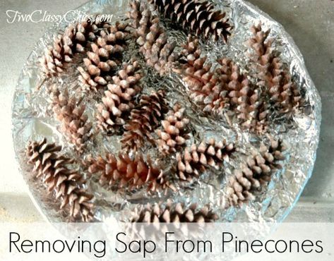 How to BEST Remove Sticky Sap from Pinecones with Step by Step Instructions, Collection Tips and Photographs on Two Classy Chics blog. Pinecone Art, Pinecone Crafts, Decorating Crafts, Pine Cone Art, Cone Crafts, Cleaning Painted Walls, Awesome Crafts, Glass Cooktop, Craft Techniques