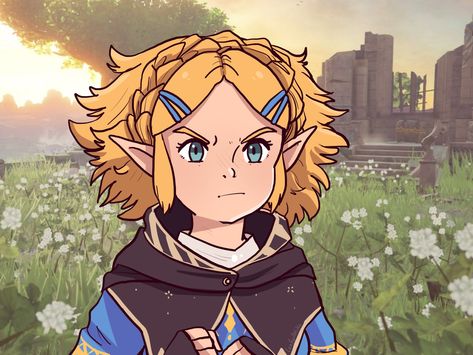 Zelda Ghibli, Game Pics, Aldnoah Zero, Legend Of Zelda Memes, Princesa Zelda, Zelda Funny, Wild Art, Hyrule Warriors, Zelda Art