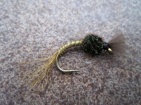 blue winged olive emerger Blue Winged Olive, Caddis Fly, Fly Craft, Caddis Flies, Trout Fishing Tips, Fly Fishing Flies Pattern, Custom Rods, Fly Fishing Tips, Fishing Stuff