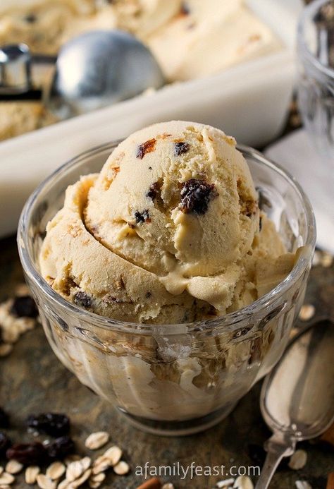 Oatmeal Desserts, Oatmeal Dessert, Cinnamon Ice Cream, Rum Raisin, Homemade Ice Cream Recipes, Sorbet Recipes, Family Feast, Oatmeal Raisin Cookies, Ice Cream Popsicles