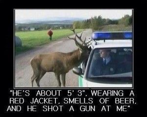 Funny Hunting Pics, Deer Hunting Humor, Hunting Jokes, Tierischer Humor, Hunting Quotes, Funny Deer, Tony Tony Chopper, Hunting Humor, Facebook Humor