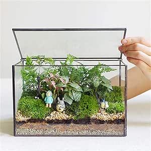 Plant terrarium