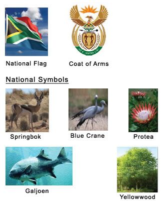 National Symbols of South Africa South Africa National Symbols, Our Country South Africa Preschool Theme, South Africa Theme Preschool, Heritage Day South Africa Ideas, South Africa Art For Kids, South African National Symbols, South African Symbols, Heritage Day South Africa Crafts, Freedom Day South Africa