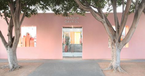 The New Mansur Gavriel Space on Melrose Place in Los Angeles Is Much More Than a Store Concept Store Ideas, Pink Story, Millenial Pink, Visit Los Angeles, Atelier Design, Retail Space Design, Concept Stores, Protea Flower, Melrose Place