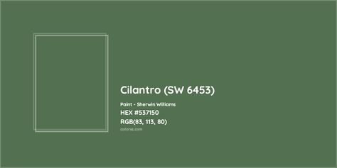 HEX #537150 Cilantro (SW 6453) Paint Sherwin Williams - Color Code Cilantro Sherwin Williams, Sherwin Williams Cilantro, Exterior Paint Sherwin Williams, Color Generator, Rgb Color Codes, Grape Color, Opposite Colors, Sherwin Williams Colors, Dr House