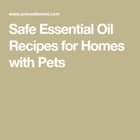 Dog Safe Essential Oils, Diffuse Essential Oils, Are Essential Oils Safe, Essential Oil Diffuser Blends Recipes, Essential Oil Diffuser Recipes, Oil Diffuser Recipes, Citrus Essential Oil, Diffuser Recipes, Essential Oil Diffuser Blends