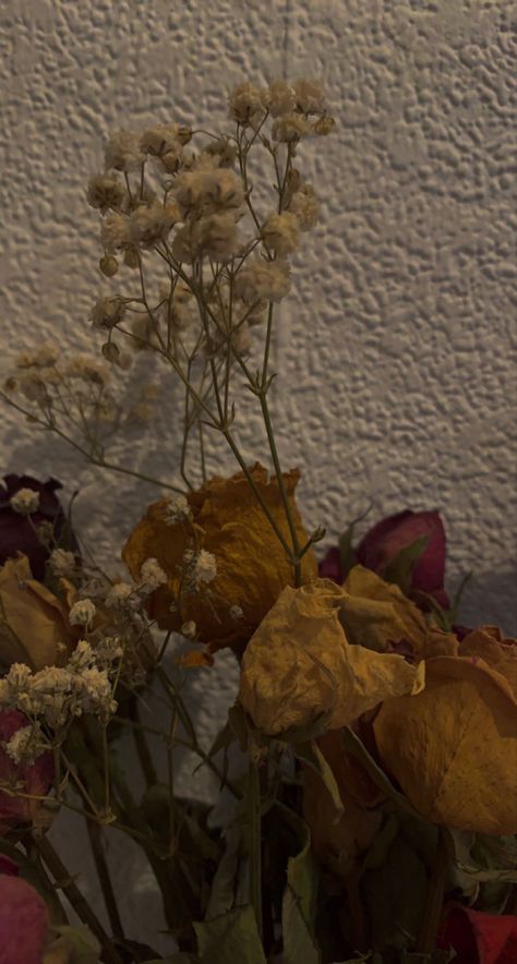 #oldmoney #flowers #flowerstagram #dry #aesthetic #coquette #cottagecore #blumen #floral Old Flowers Aesthetic, Old Money Flowers, Dry Aesthetic, Old Flowers, Money Flowers, Coquette Cottagecore, Flowers Aesthetic, Aesthetic Coquette, Plant Mom