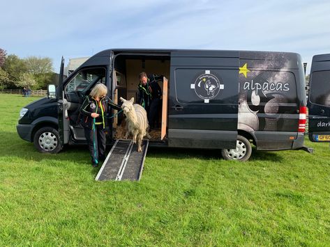 Pet Transport Van, Animal Transport, Pet Transport, Mobile Workshop, Camper Van Conversions, Transportation Vehicles, Forest Of Dean, Vehicle Accessories, Van Conversions