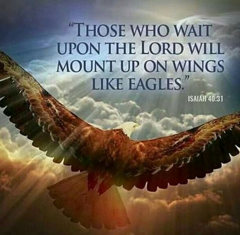 Good morning Blessings dear friend! The following scripture is one that I have always prayed and cherished in my heart. "But those who wait for the Lord - who expect, look for and hope in Him - shall change and renew their strength and power; they shall lift up their wings and mount up (close to God) as eagles (mount up to the sun); they shall run and not be weary; they shall walk and not faint not become tired." (Isaiah 40:31) Amen! Sending blessings, love and warm hugs. ♡♡♡ Noni. xoxo's Eagle In Flight, Wings Like Eagles, Cloud Art, An Eagle, Above The Clouds, Spiritual Inspiration, Photographic Art, Faith In God, Word Of God