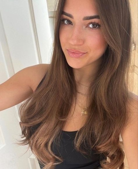 Hair Color For Brown Eyes, Light Brunette Hair, Natural Brunette, Rambut Brunette, Light Brunette, Brown Hair Inspo, Smile Selfie, Brunette Hair With Highlights, Girl With Brown Hair