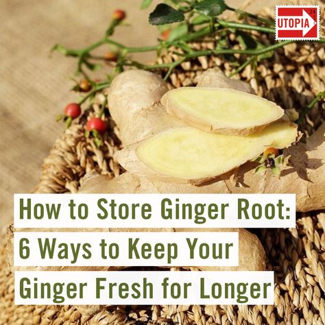 Ginger Roots: What to do with the leftovers? We’ll show you how to store ginger root to preserve freshness for longer. #Gingerroots #Keepgingerfresh #Nofoodwaste #sustainablelifestyle Eating Raw Ginger, Ginger Root Recipes, Storing Fresh Ginger, How To Store Ginger, How To Store Carrots, Cooking With Ginger, Jj Smith, Raw Ginger, Sustainable Living Ideas