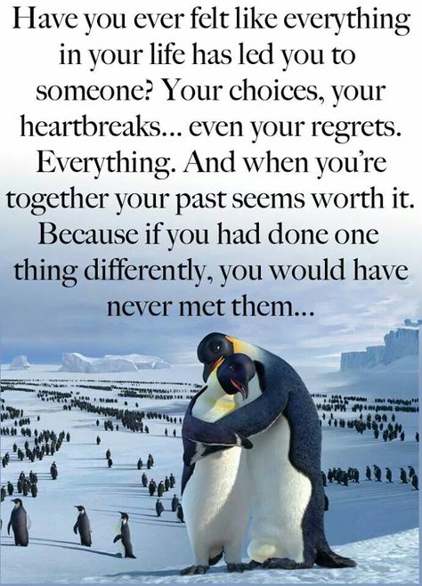 Penguin Love Quotes, Penguin Quotes, Mate Quotes, Connection Quotes, Penguin Shirt, Penguin Pictures, Penguins Funny, Chicana Style, Sweet Romantic Quotes