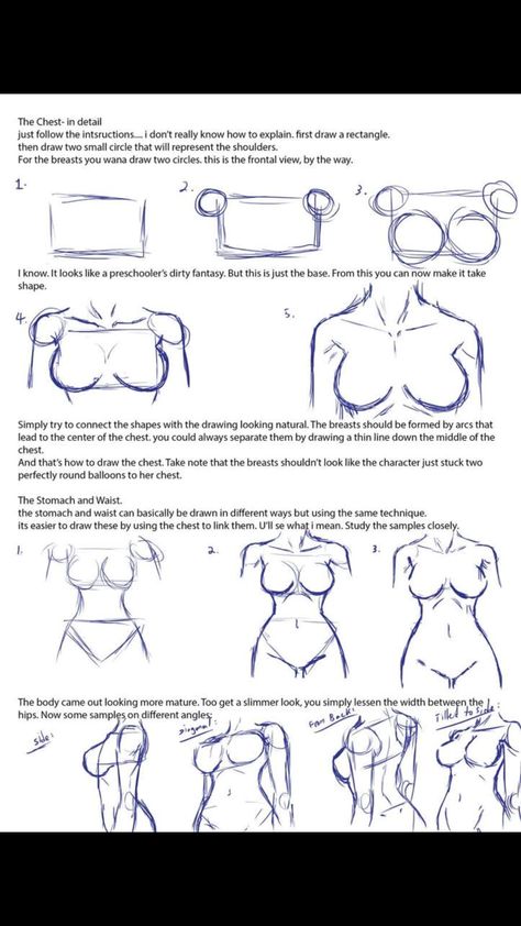 Drawing Female Anatomy Tutorial, How To Draw Standing Poses, Arm Drawing Female, How To Draw Female Anatomy Step By Step, Anime Torso Reference, Drawing The Female Body, How To Draw A Torso Female, How To Draw Torso Female, Drawing Bodies Female