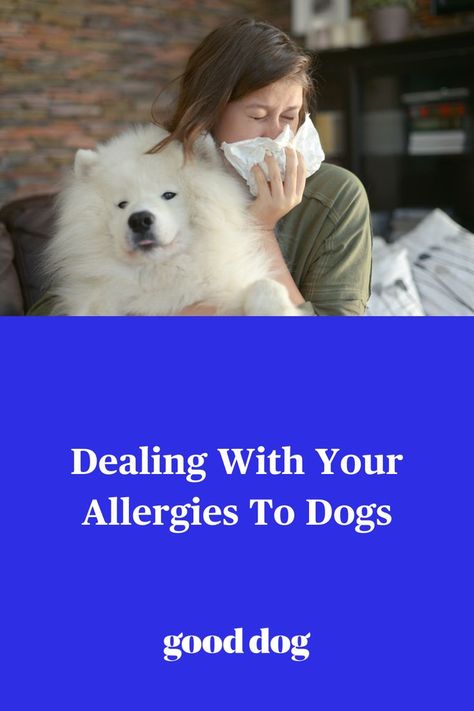 Allergic To Dogs Remedies, Natural Remedies For Hives, Dog Allergies Remedies, Dog Allergy Symptoms, Allergy Shots, Allergic To Dogs, Dog Education, Kids Allergies, Living With Dogs