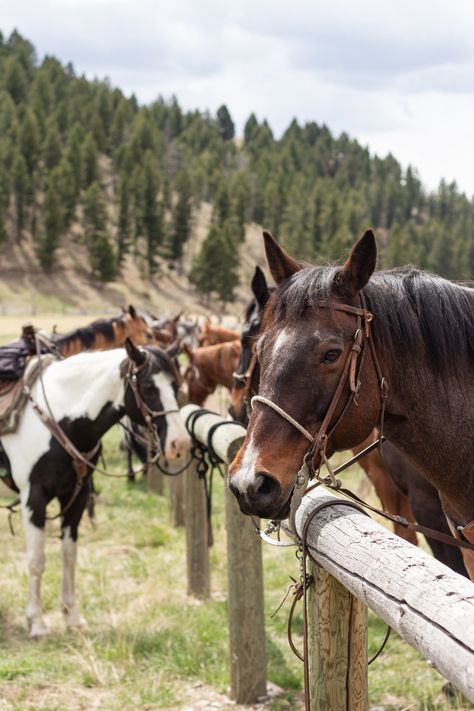 Montana Aesthetic, Ranches Living, Cowboy Ranch, Montana Ranch, Cowboy Pictures, Hitching Post, Go Ride, Rodeo Life, Dude Ranch