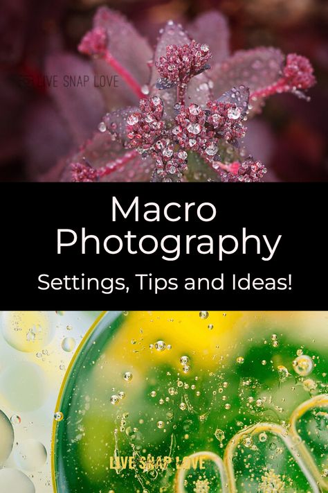 Do you want to explore the world of macro photography but don’t know where to start? It can be intimidating to venture into a completely new realm of photography, but with the right guidance it can be easy and rewarding too! At Live Snap Love, we have many helpful macro photography settings, tips and ideas that will help you start taking beautiful photos now. Read now to learn how to take macro photos you love! Photography Texture Ideas, Macro Photography Ideas Creative, Photography Ideas Videos, Trick Photography Ideas, Macro Photography Settings, Macro Photography Ideas, Creative Macro Photography, Macro Lens Photography, Autocad 2016