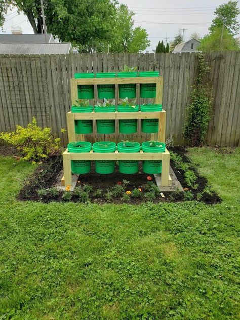 Henry County Ohio Buy Sell Trade Group | 3 tier 5 gallon bucket raised garden stand | Facebook 5 Gallon Bucket Raised Garden, Five Gallon Bucket Garden Stand, Bucket Raised Garden, Bucket Garden, Five Gallon Bucket, 5 Gallon Buckets, Bucket Gardening, Garden Vegetable, Garden Stand