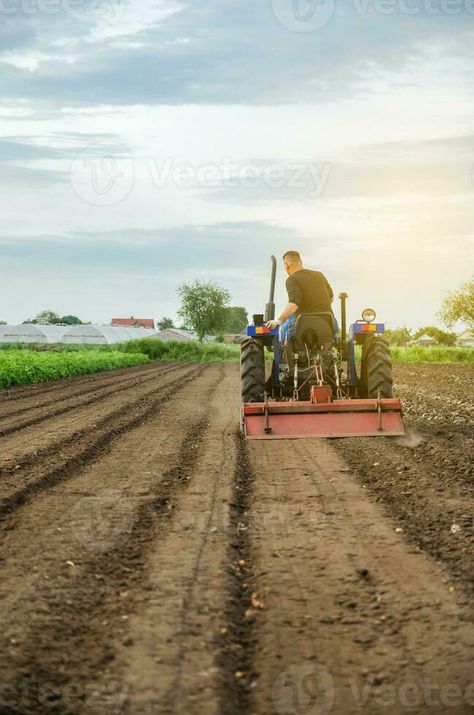 A farmer grinds up solid soil to plant new crops. Development of agricultural economy, introduction of modern technologies. Farming, agriculture. Loosening surface, land cultivation. Plowing. Farming Technology, A Farmer, Vector Cartoon, Modern Technology, Astrology Signs, Agriculture, Farmer, Soil, Astrology