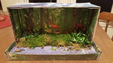 Deer habitat project Deer Habitat School Project, Deer Diorama Habitat, Wetland Biome, Ecosystems Diorama, Deer Habitat, Wetland Ecosystem, Habitat Project, Biomes Project, Bear Habitat