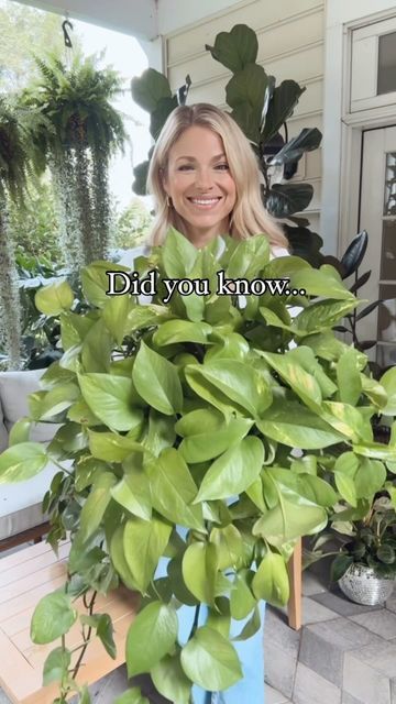 Plants By Krystal, Lipstick Plant, Garden Plants, House Plants, Yard, Plants