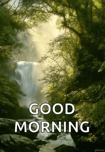 Good Morning Water Falls GIF - Good Morning Water Falls Nature - Discover & Share GIFs Good Morning Water, Nature Animated, Falling Gif, Good Morning Nature Images, Good Morning Gift, Morning Water, In Loving Memory Quotes, Good Morning Nature, Water Falls