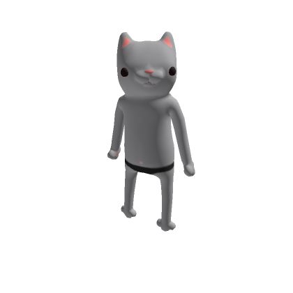 Chicken Roblox Avatar, Goofy Roblox Avatar, Skin Roblox, Cat Skin, Create An Avatar, Roblox Avatar, Silly Cats, Funny Cat, Mix Match