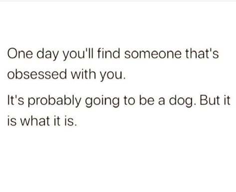 Why Dogs Are Better Than People, Dogs Are Better Than People Quotes, Dog People Quotes, Animals Are Better Than People, Dogs Are Better Than People, Single Ladies, People Leave, I Hate People, Dog People