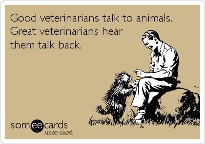 Good veterinarians talk to animals.  Great veterinarians hear them talk back.  #Someecards #veterinarianecard Veterinarian Quotes, Veterinary Humor, Veterinarians Medicine, Becoming A Veterinarian, Medicine Quotes, Veterinary School, Vet Medicine, Vet School, Animal Medicine