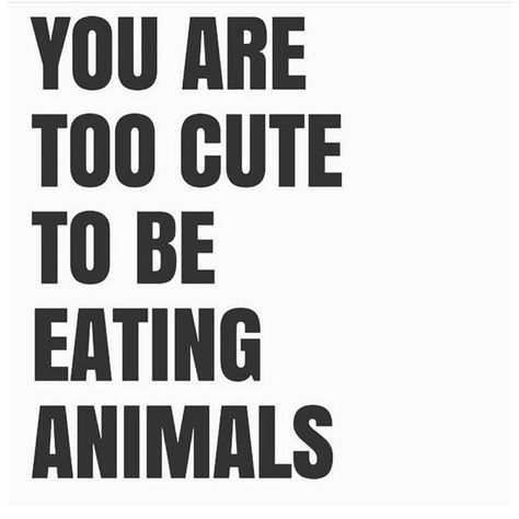 Vegan Meme 😂🌱 on Instagram: “Facts! Tag someone that’s way to cute to be eating baby animals or there bodily fluids/secretions. Treat your body right 🌱 . . . You are…” Vegan Quotes Aesthetic, Veganism Aesthetic, Vegan Wallpaper, Vegetarian Memes, Vegan Meme, Vegan Aesthetic, Vegetarian Quotes, Vegan Activism, V Quote