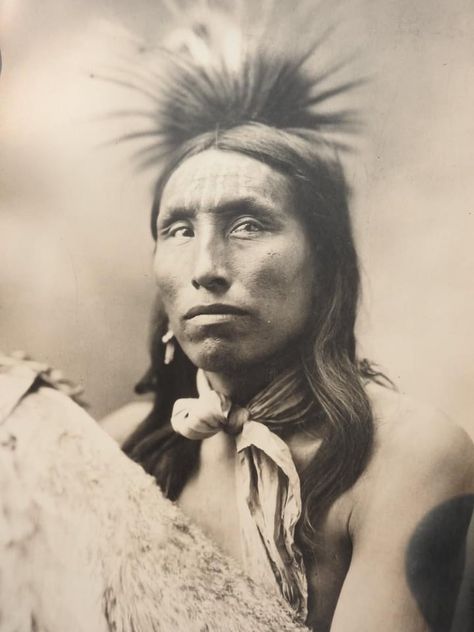 Indian Face Reference, Edward S Curtis, Sioux Indian, Lakota Sioux, Native American Images, Native American Men, Native American Pictures, Native American Photos, Indian Tribes