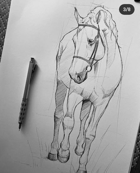 Horse Drawing Tutorial, Internet World, Horse Art Drawing, Doodle A, Goofy Dog, Horse Sketch, Animal Drawings Sketches, Horse Art Print, Horse Drawing