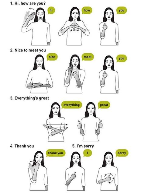 Asl Sign Language Words, Sign Language Chart, Sign Language For Kids, Sign Language Lessons, Sign Language Phrases, Sign Language Interpreter, Sign Language Words, Asl Learning, British Sign Language