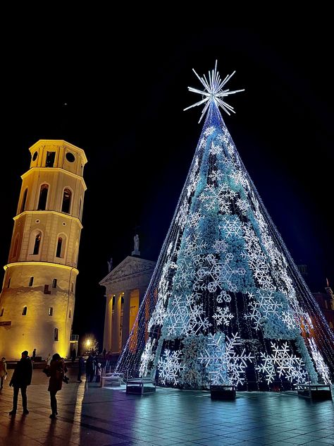 Vilnius Christmas tree Vilnius Christmas, Christmas Tree, Christmas, Quick Saves