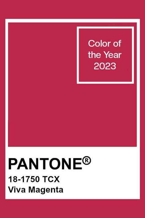 Pantone Viva Magenta - Color of the Year 2023 #pantone #color #fashion #trends Pantone Color Of 2023, Pantone Color Of The Year 2023 Wedding, Pantone Of The Year 2023, Pantone Magenta 2023, Pantone Viva Magenta 2023, Pantone Colour Of The Year 2023, 2023 Color Of The Year Pantone, Pantone 2023 Color Trends Interior, Color Of The Year 2023 Pantone