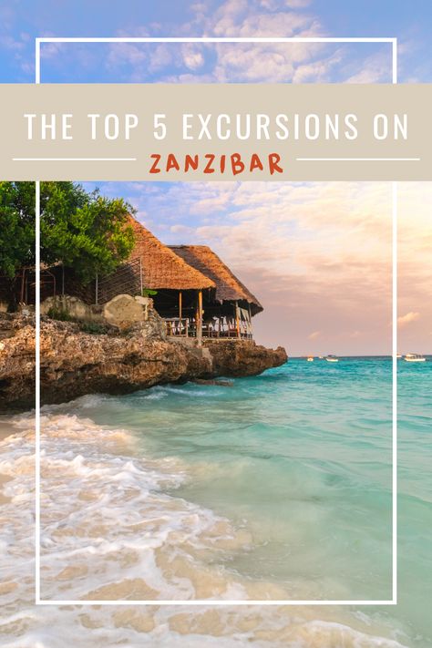 zanzibar excursions Nakupenda Zanzibar, Lunch On The Beach, Zanzibar Tanzania, Stone Town, Mangrove Forest, A Whale, Whale Watching, Boat Trips, Tropical Islands