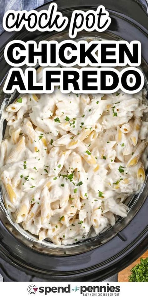 Treat your family to the creamy, comforting flavors of Crock Pot Chicken Alfredo! This easy recipe layers seasoned chicken, cream cheese, and Parmesan in your slow cooker, creating a rich sauce that perfectly coats tender pasta. It’s a simple, one-pot meal that saves you time and cleanup, so you can enjoy a delicious dinner without the stress. Serve it with garlic bread and a fresh salad for a complete meal! #spendwithpennies Crockpot Recipes Chicken Alfredo Pasta, Crockpot Ideas With Chicken, Chicken Alfredo Pasta Slow Cooker, Alfredo Sauce In Crockpot, Croc Pot Chicken Alfredo, Cream Cheese Slow Cooker Recipes, Slow Cooker Alfredo Sauce, Crock Pot Chicken Alfredo Recipes, Chicken Alfredo In The Crockpot