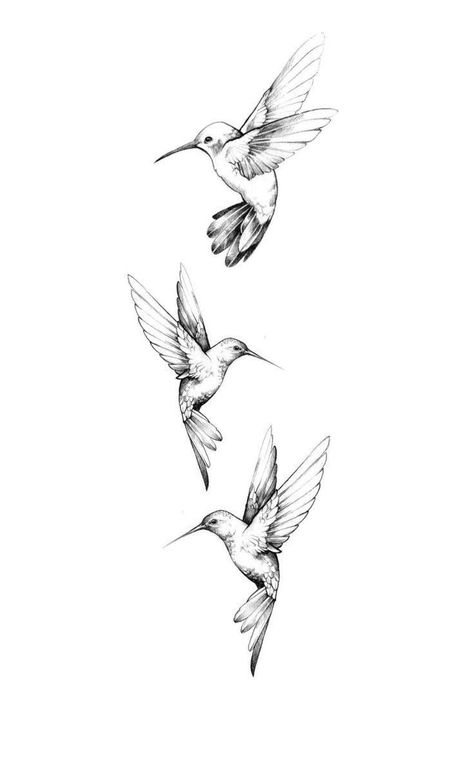 humming bird tattoo - The House of Beauty 4 Hummingbird Tattoo, Back Tattoo Birds Women, Shape Tattoos For Men, Hummingbird Mother Daughter Tattoos, Humming Bird Shoulder Tattoos For Women, 3 Hummingbird Tattoo Small, Tree Arm Tattoo Woman, Hummingbird Tattoo Placement Ideas, Two Hummingbird Tattoo Design