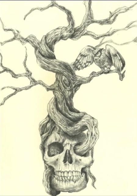 Skull tree                                                                                                                                                                                 More Tree Roots Skull Tattoo, Skull Roots Tattoo, Tree Skull Tattoo, Twisted Tree Drawing, Fey Wanderer, Dead Tree Tattoo, Tattoo Crane, Skulls Tattoo, Dead Tree