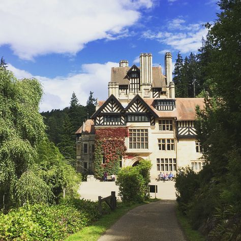 Cragside House and Gardens Cragside House, Quick Saves, House Styles, Home Decor, Architecture, Home Décor