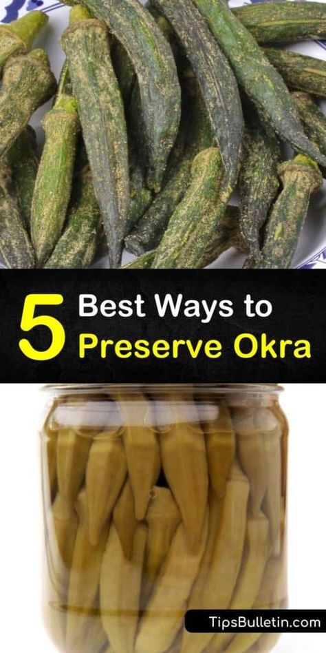 Learn how to preserve fresh okra from your garden while keeping it packed with flavor. This guide teaches you everything you need to know from blanching small pods in ice water, to freezing okra so you can throw it in a future gumbo. #preserve #fresh #okra Fresh Okra, Pickled Recipes, Vegan Taco Salad, Easy Pickling Recipes, Recipes By Ingredients, Pickled Okra, Canning Vegetables, Okra Recipes, Canning Tips