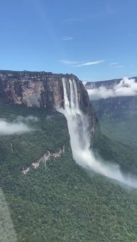 This is Angel Falls, the highest uninterrupted waterfall in the world Angel Falls Venezuela, Monte Roraima, Angel Falls, Science Girl, Unique Places, Gods Creation, Fallen Angel, Unesco World Heritage Site, 2 A