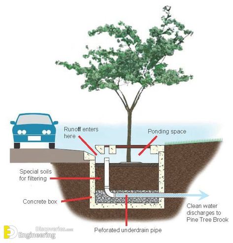 Catch Basin, Sponge City, Tree Grate, Streetscape Design, Landscape And Urbanism Architecture, Water Architecture, Stormwater Management, Company History, Urban Landscape Design