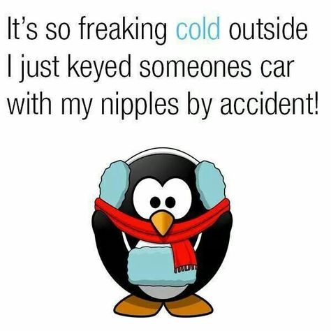 It's so cold outside I just keyed someone's car with my nipples by accident! Cold Meme, Cold Humor, Cold Weather Quotes, Cold Quotes, Winter Humor, Insta Memes, Funny Weather, Hate Winter, Weather Quotes