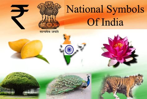 National Symbols Of India National Symbols Of India, National Song Of India, National Anthem Of India, Union Territory Of India, Elephant India, National Songs, Happy Independence Day Images, Indian Symbols, National Games